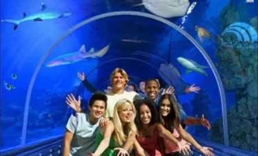Grand Aquarium