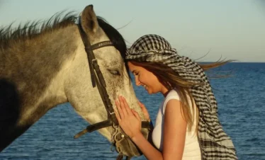 Horse Riding