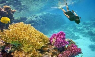 Snorkeling tour to Sharm El-Luli Bay