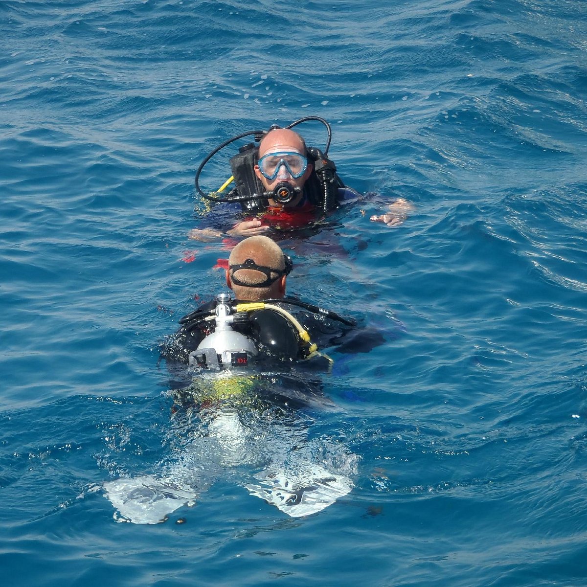 colona divers marsa alam